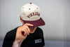 Hot Dog Hysteria HTA Heritage Twill Cap